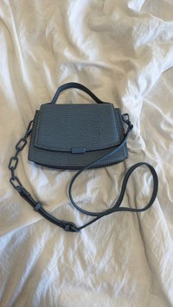 Zara purse