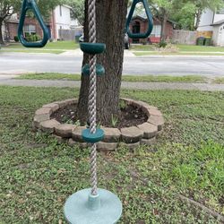 Tree Swings 
