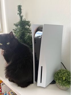 PlayStation 5 and Portal