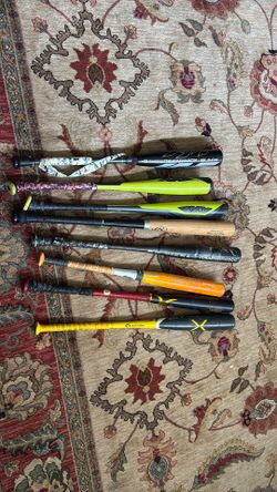 Bats all sizes