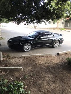2001 mustang