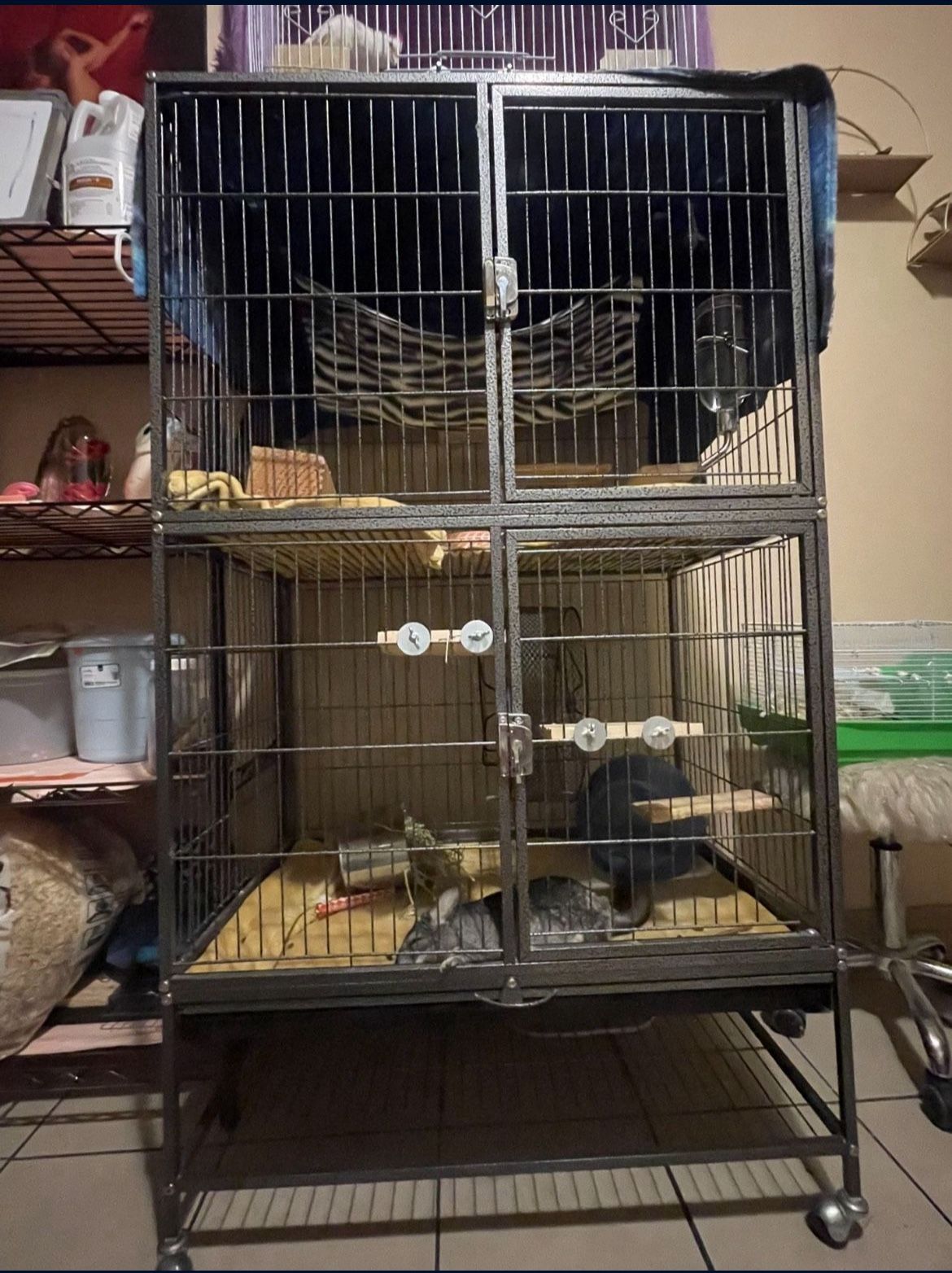 Rodent Cage