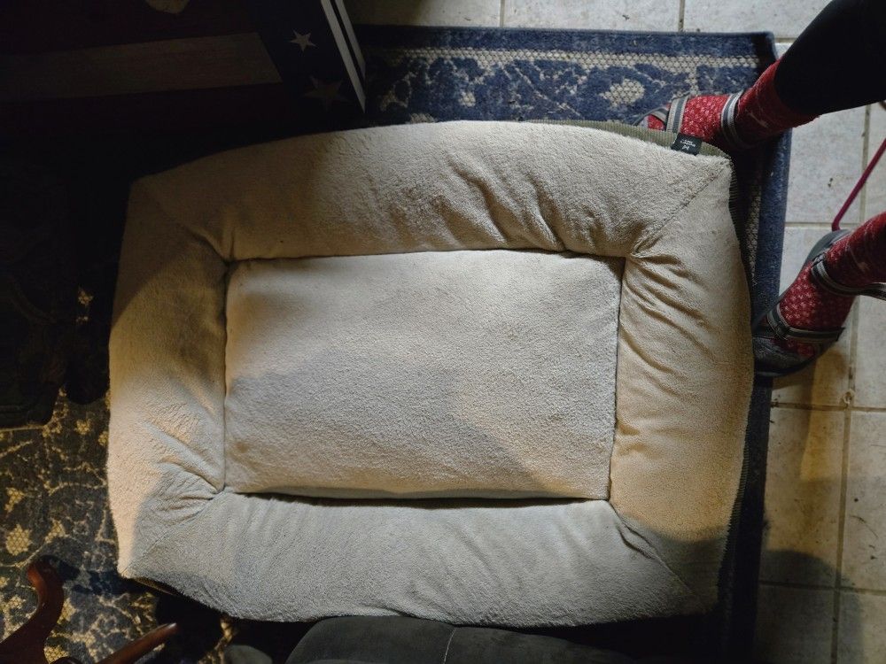 Dog Beds