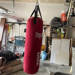 Everlast hanging Punching bag