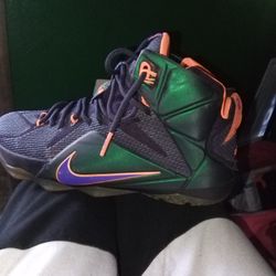 LeBron James  12
