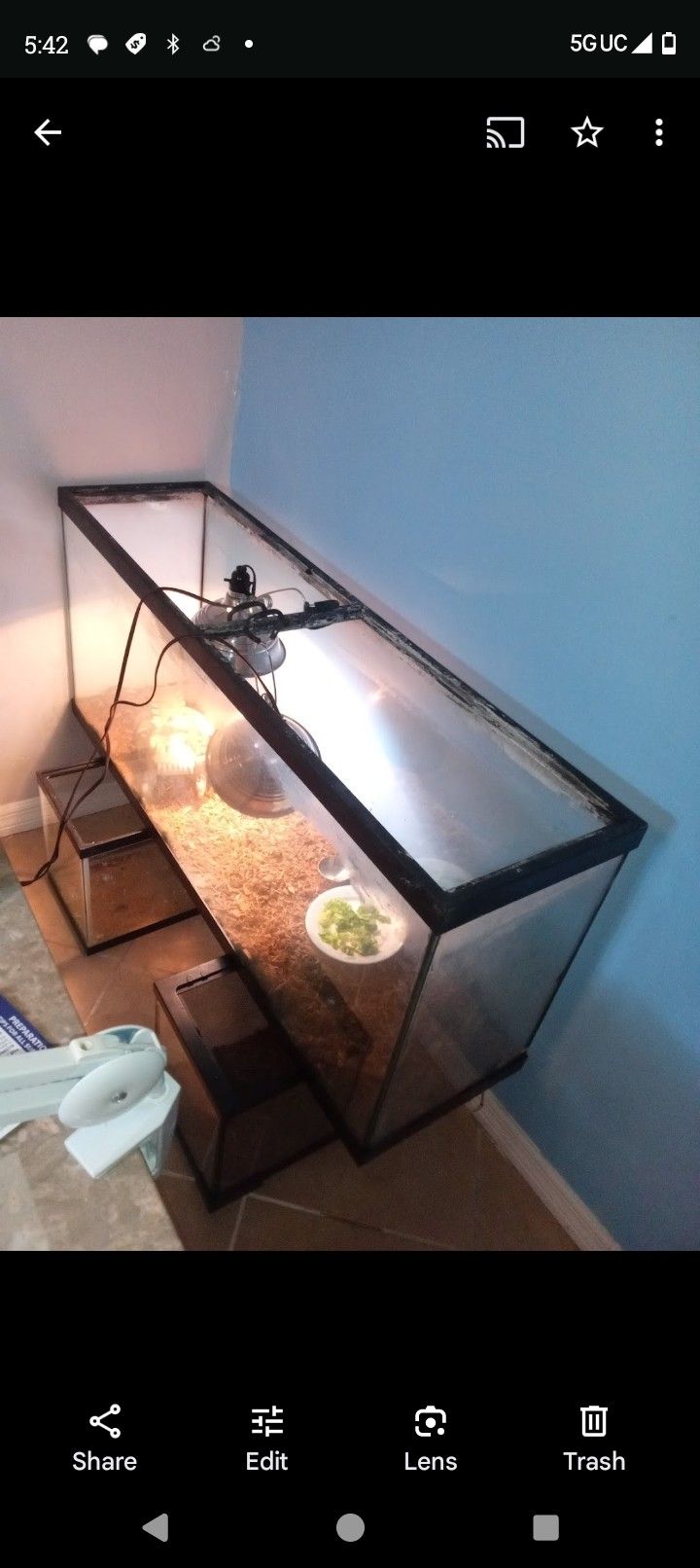 Asst. VieledChameleon Enclosure