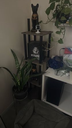 4-tier display shelf ONLY