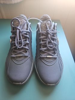 Nike LeBron 21 "resilience" basketball shoes size 11
