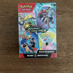 Pokemon Journey Together
