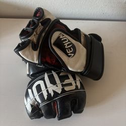 MMA Gloves
