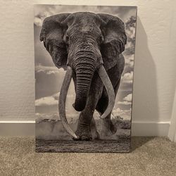 Lion & Elephant Printed Canvas
