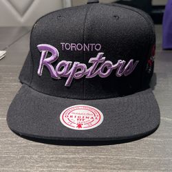 Raptors Snap Back