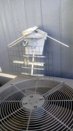 TV ANTENNA