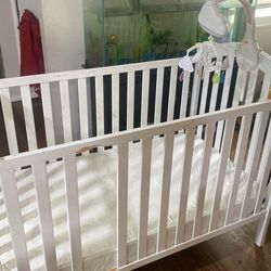Crib