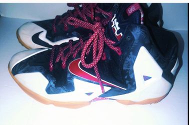 Lebron independence shoes top
