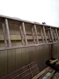 Exstention ladder 20 ft