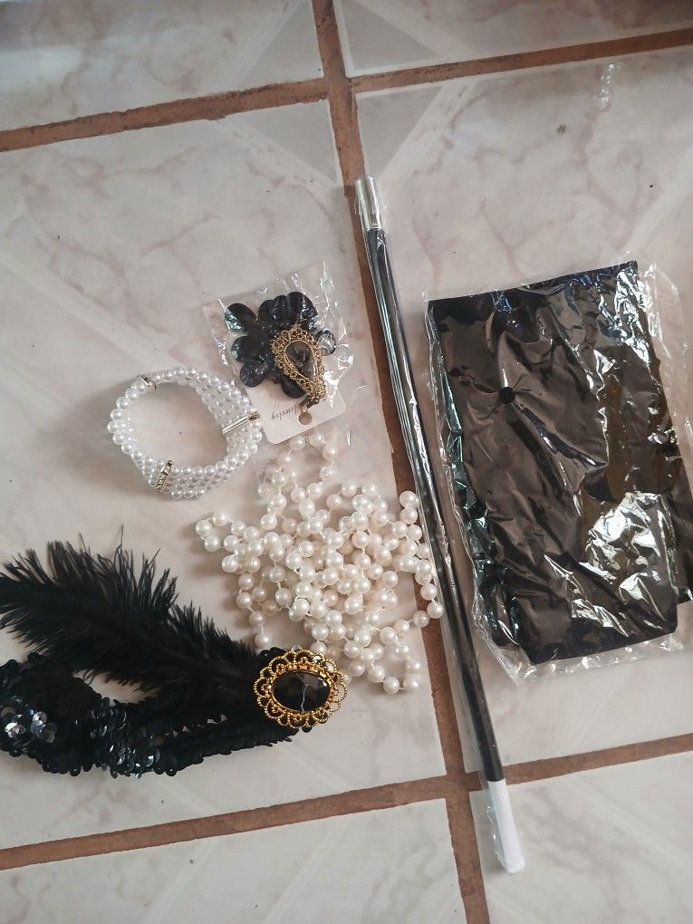 New Womens Flapper Costume
