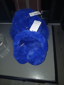 Blue Hat And Ear Muffs