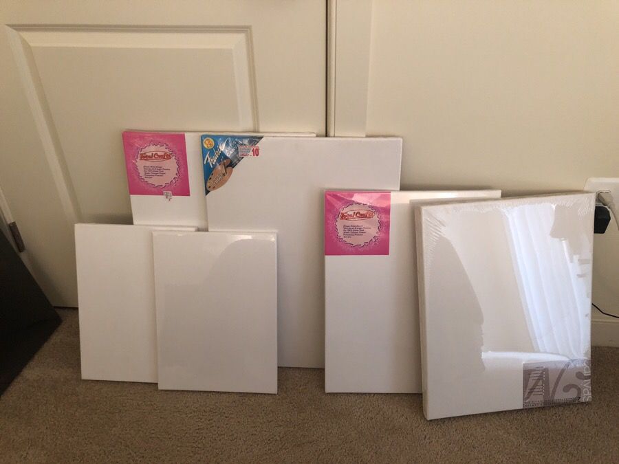6 canvases new