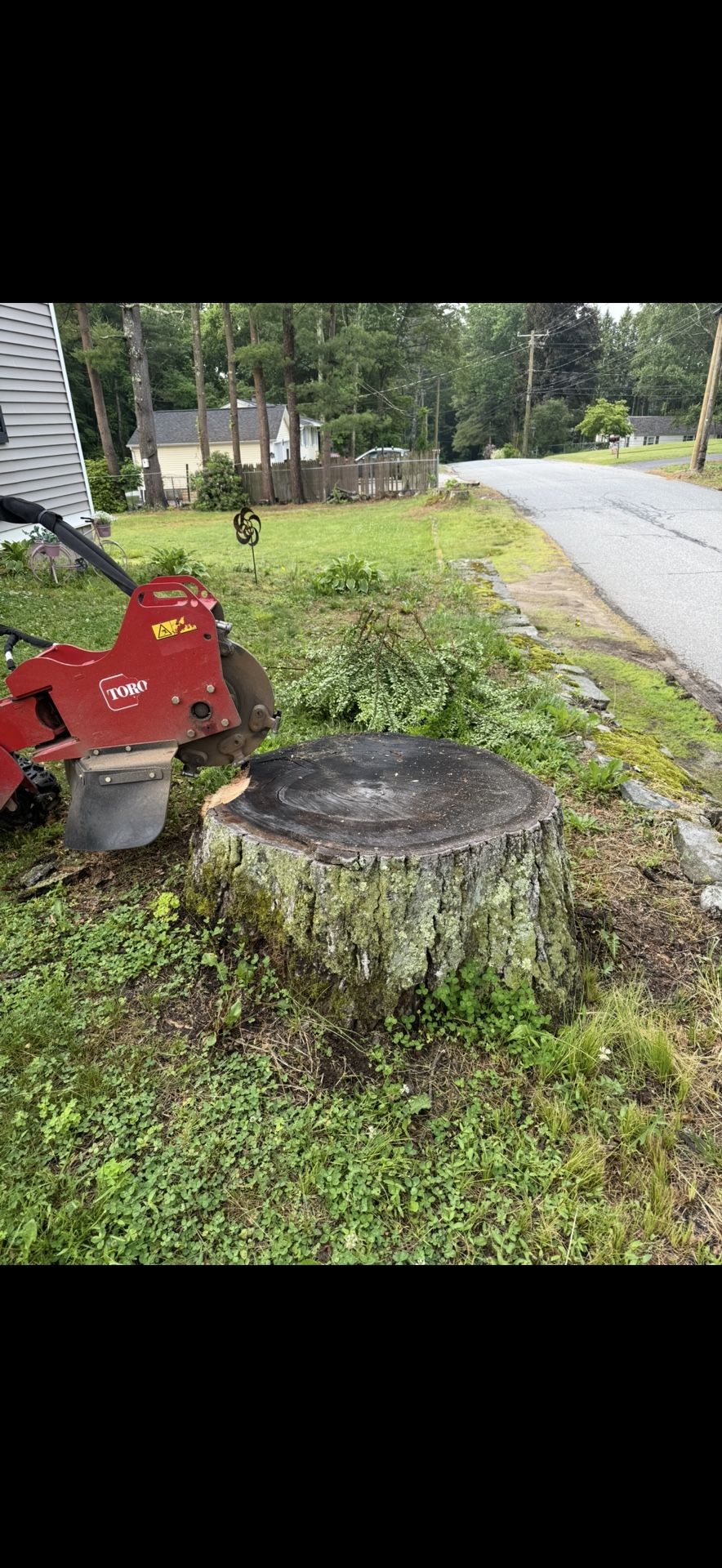 Stump Grinding