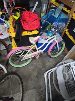 20 In Bicycle