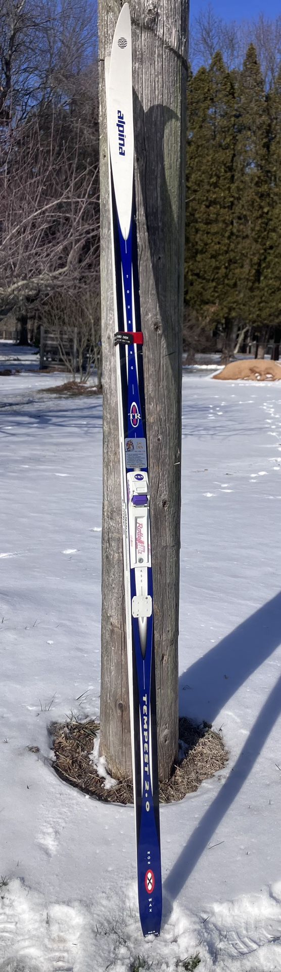 Alpina Tempest 2.0 Non Wax 195 Cross Country Skis