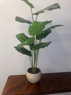 Artificial 42” Plant In The White or Black  Planter