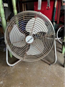 Fan