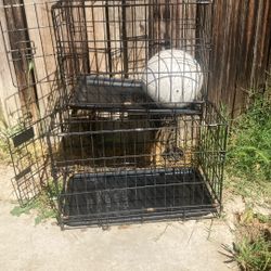 Transport Cages Bakersfield Area
