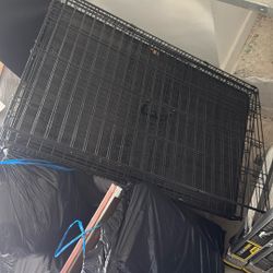 Large Dog Kennel.