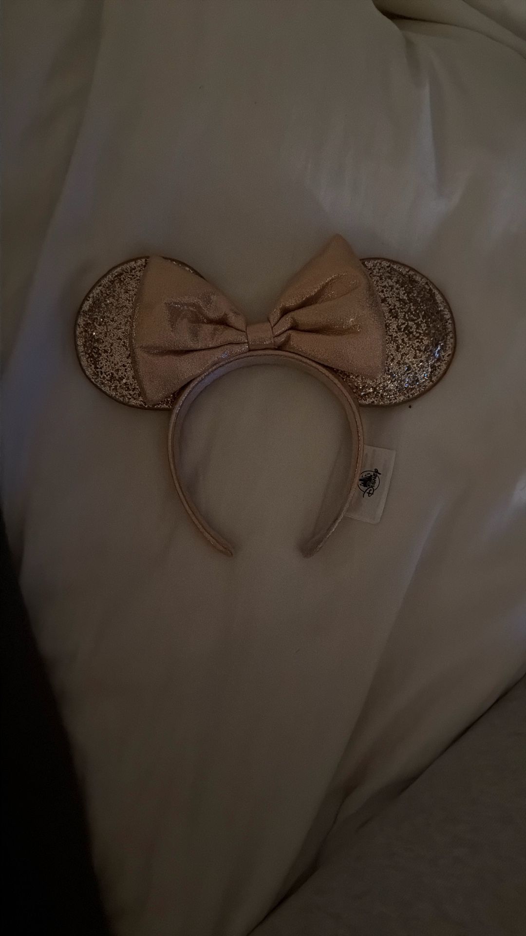 Disney Ears 