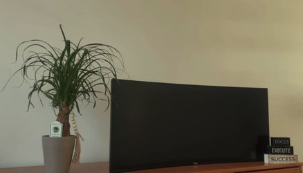 Dell Monitor UltraSharp U3425WE !Only the monitor!