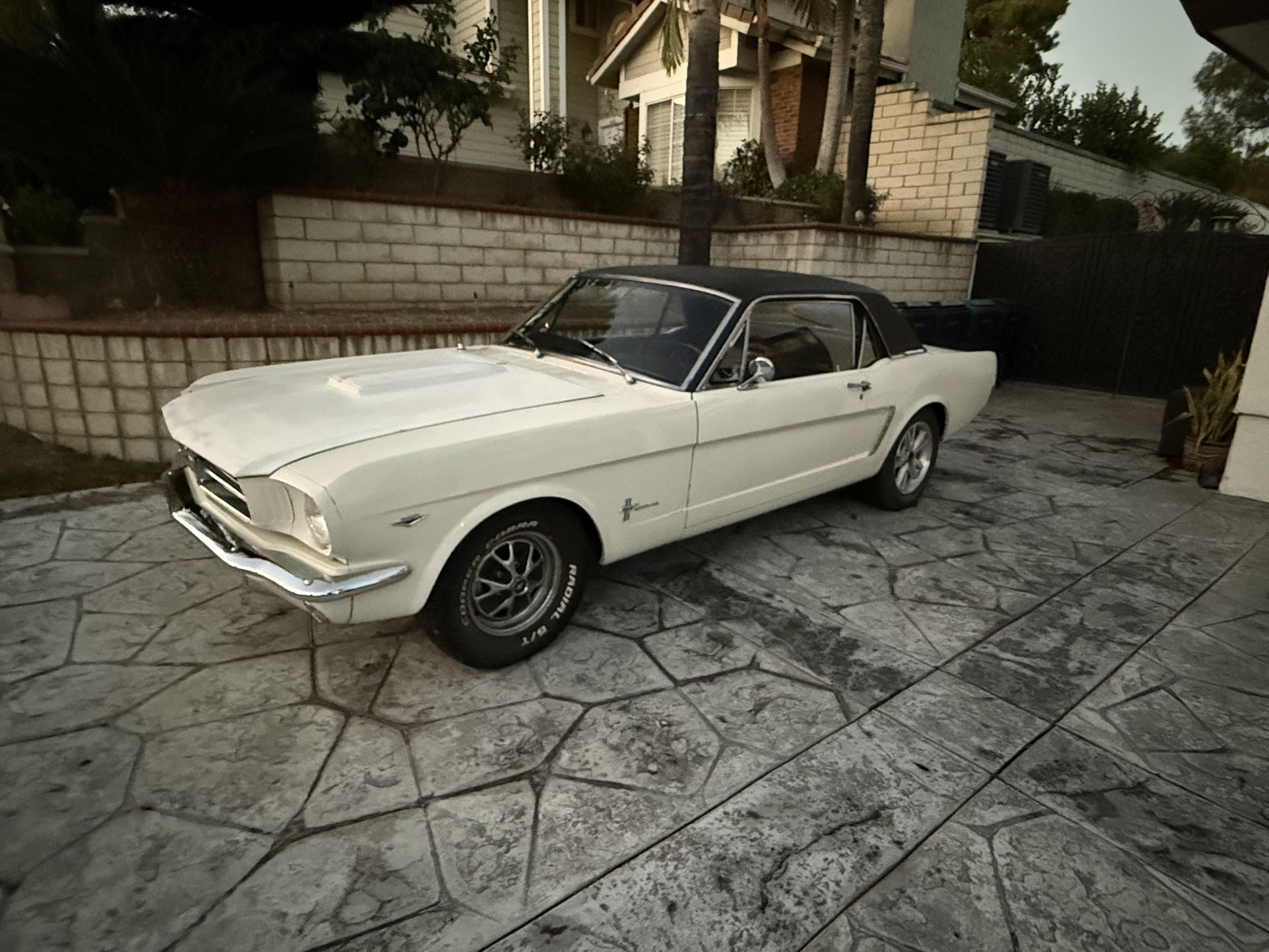 64.5 Mustang V8 Manual Coupe