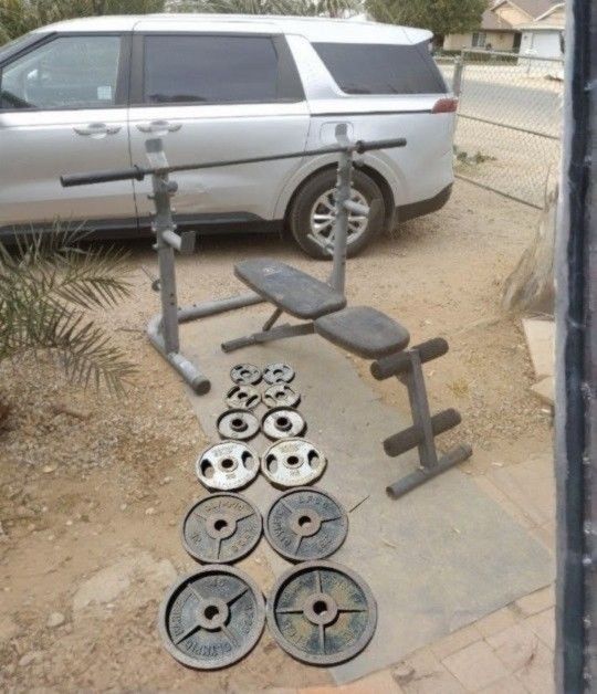 245lbs Olympic Weights Bench Squat Rack Barbell