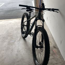 Roscoe 6 (27.5) M (Negotiable)