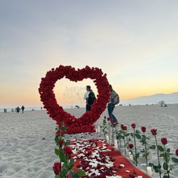 Red Proposal 