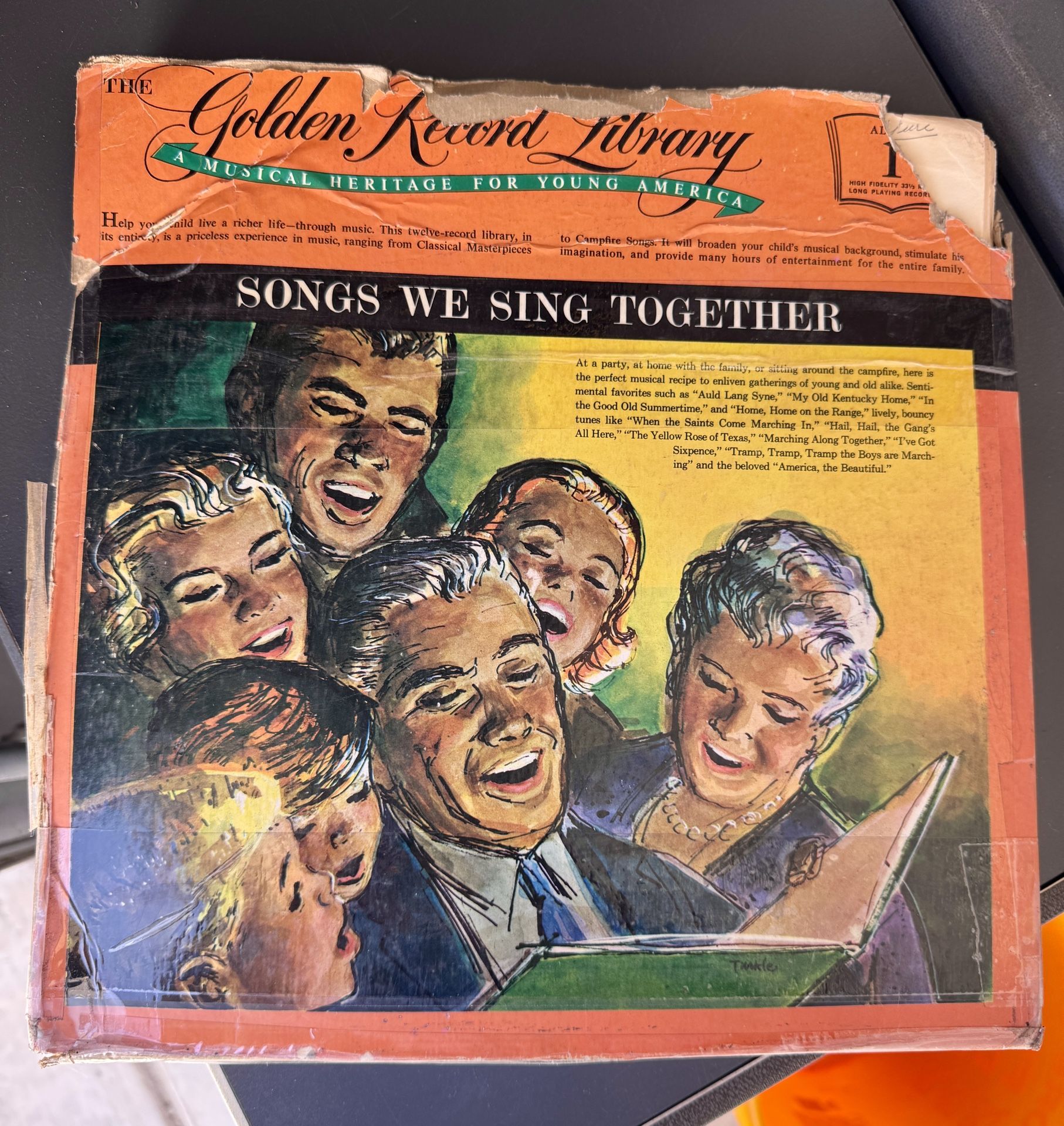 Songs We Sing Together Vinyl Record