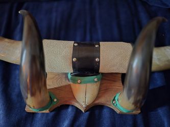 Authentic Steer Horns