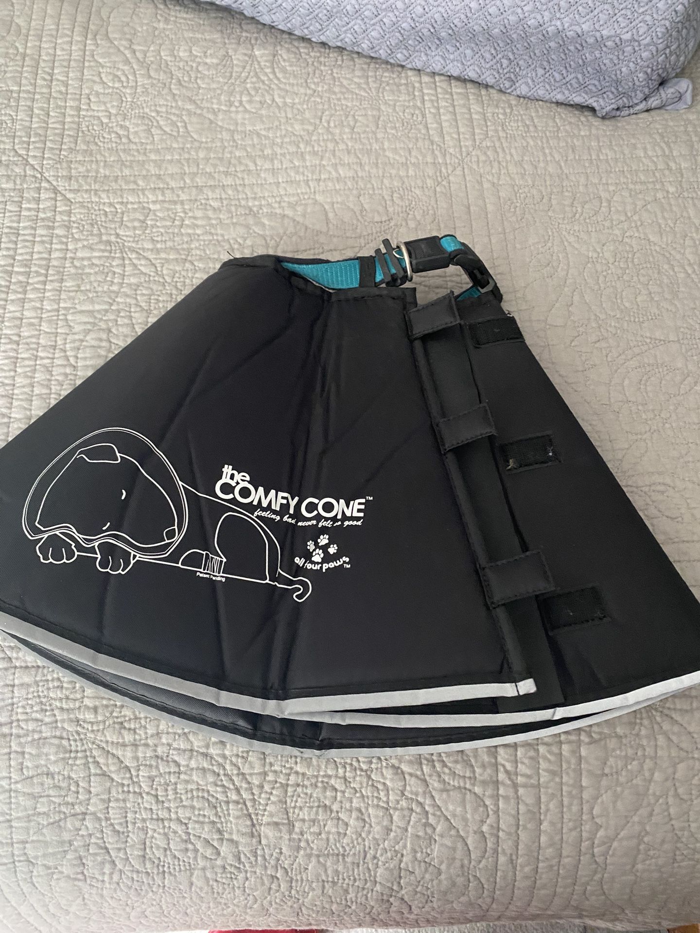 Dog Comfy Cone