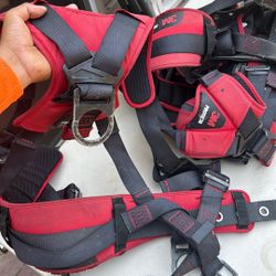 Harness 