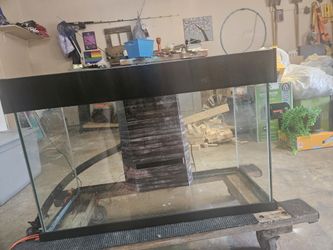 Fluval Accent 25 Gallon With Built In Siphon