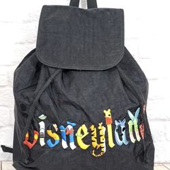 Disneyland Bag 