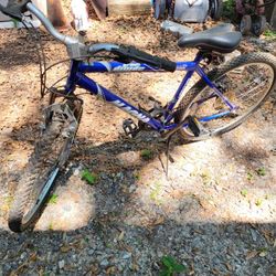 Bicycle 