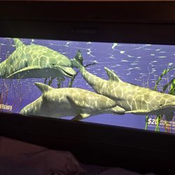 Lightheaded Bed Image / Picture