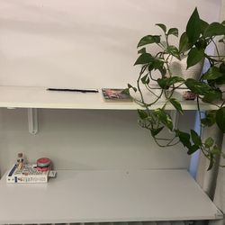 White Shelves Book Shelves Closet Shelves 