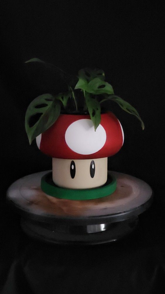 Super Mario Bro. Mushroom Flower Pot