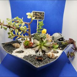Succulent Garden