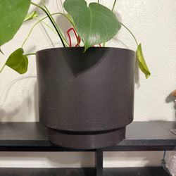 10 inch Plant Pot