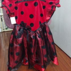 Lady Bug Costume