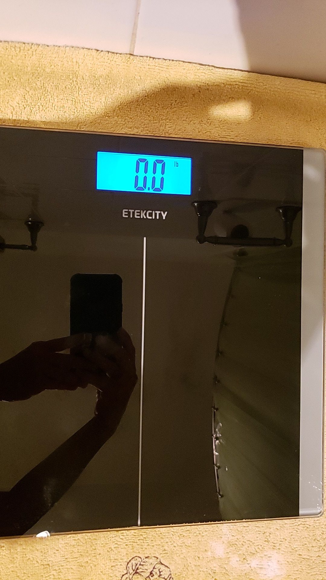 Glass Electronic Bathroom Scale